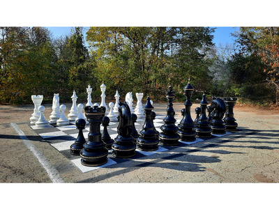 Набор шахматных фигур из стеклопластика (32 шт.)